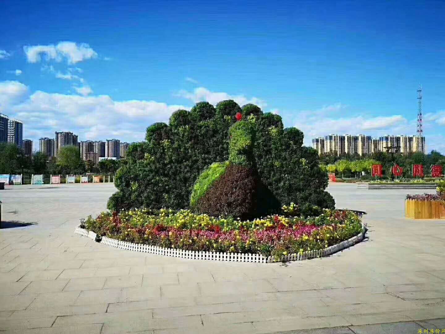 涿州德信公园图片